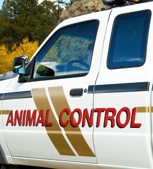 Humane Animal Pest Control