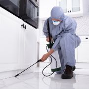 pest control companies in conroe tx