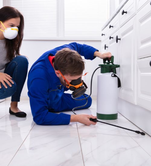 pest control for residential